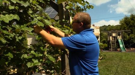 Video thumbnail: Working Class Build & Grow Green