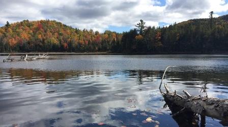 Video thumbnail: New York NOW A Discussion on North Country Politics