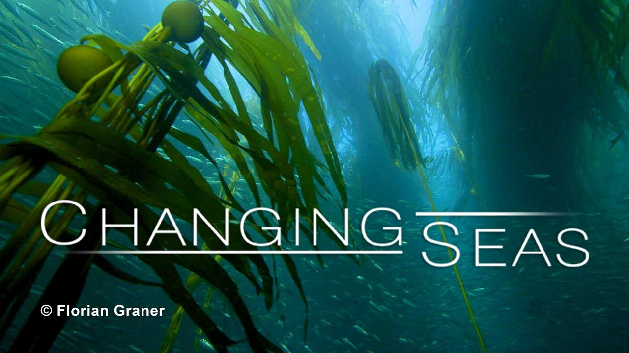 Changing Seas | Kelp: Hidden Treasure of the Salish Sea