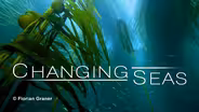 Kelp: Hidden Treasure of the Salish Sea