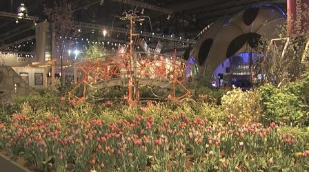 Video thumbnail: Friday Arts Quirk Books, Greening Philadelphia, Tea Time