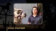 Llama Costume Champ Kylie Stafford
