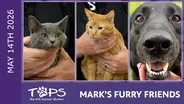5/14/2026 | Moto, Fuzzbert and Jey | Mark's Furry Friends
