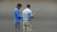 Dove Hunt with Kids; Trout Fishing; Alabama Rig