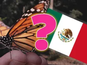 The Big Lie about Monarch Butterflies