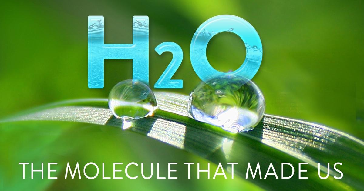 H20 The Molecule That Made Us Preview The Molecule