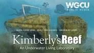 Kimberly’s Reef: An Underwater Living Laboratory
