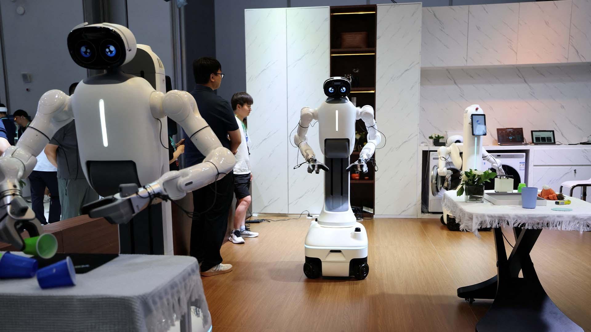 The hopes and risks of bringing humanoid robots into our homes