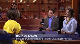 Video thumbnail: Chicago Tonight September 24, 2019 - Full Show