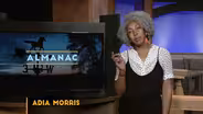 Adia Morris Essay | June 2024