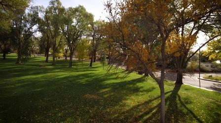 Video thumbnail: Our Land: New Mexico’s Environmental Past, Present and Future Urban Forests