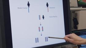 Neanderthal Vocalization | Neanderthal | PBS