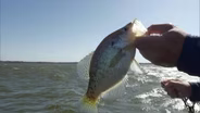 Crappie Lessons; Kentucky Elk Draw; Wildlife Habitat