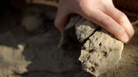 Video thumbnail: NOVA Paleontologists Discover New Mammal Fossils Hidden in Rocks