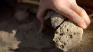 Paleontologists Discover New Mammal Fossils Hidden in Rocks