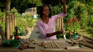 Enhance a Garden with Sound