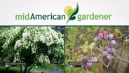 Mid-American Gardener with Sandy Mason January 11, 2018