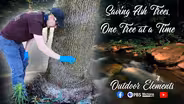 Saving Ash Trees, One Tree at a Time