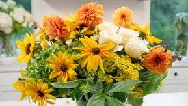 Wellness in Bloom: asset-mezzanine-16x9