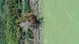 How Algae Led to a Lake Erie Bill of Rights: asset-mezzanine-16x9