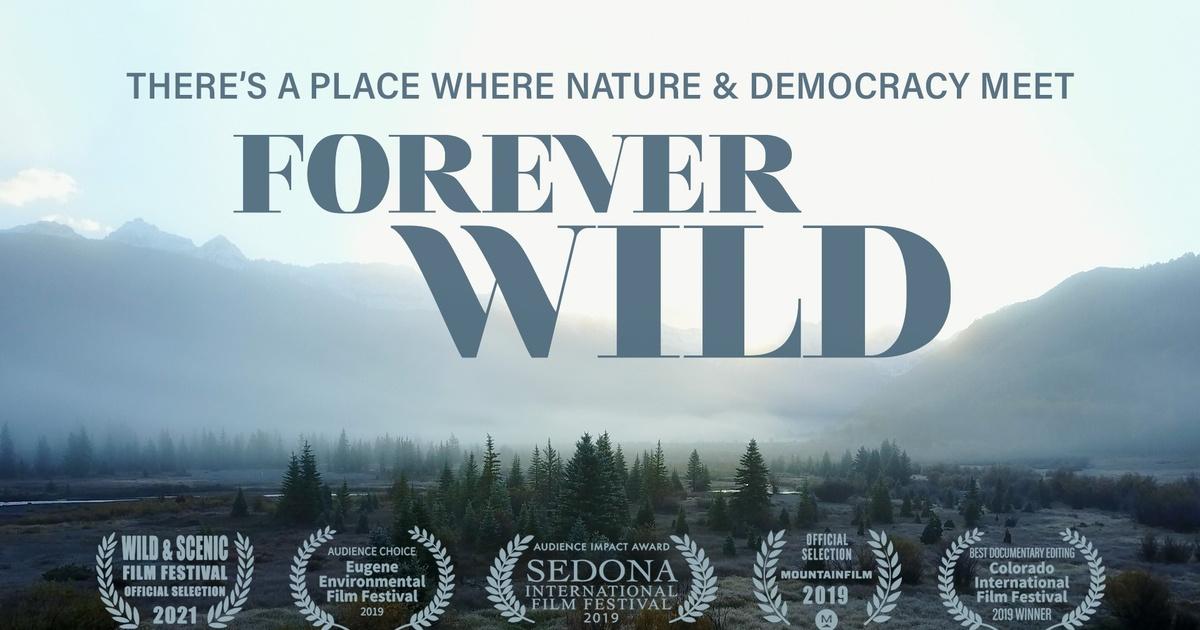 Nature Forever Society - Our Mission Is To Involve Citizens Into  Conservation Movement