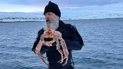 Treasures from the Barents Sea (KJØLLEFJORD)