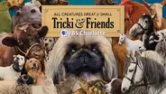 All Creatures Great And Small | Tricki & Friends
