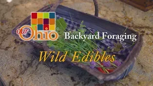 Backyard Foraging - Wild Edibles