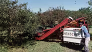 Born Farmers