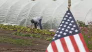 Cultivating the Way Home!