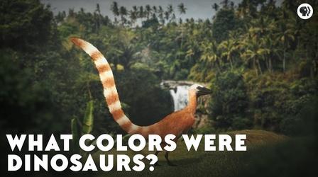 Video thumbnail: Eons What Colors Were Dinosaurs?