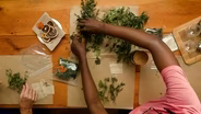 How to Make Herbal Tea