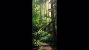 Forest Discovery