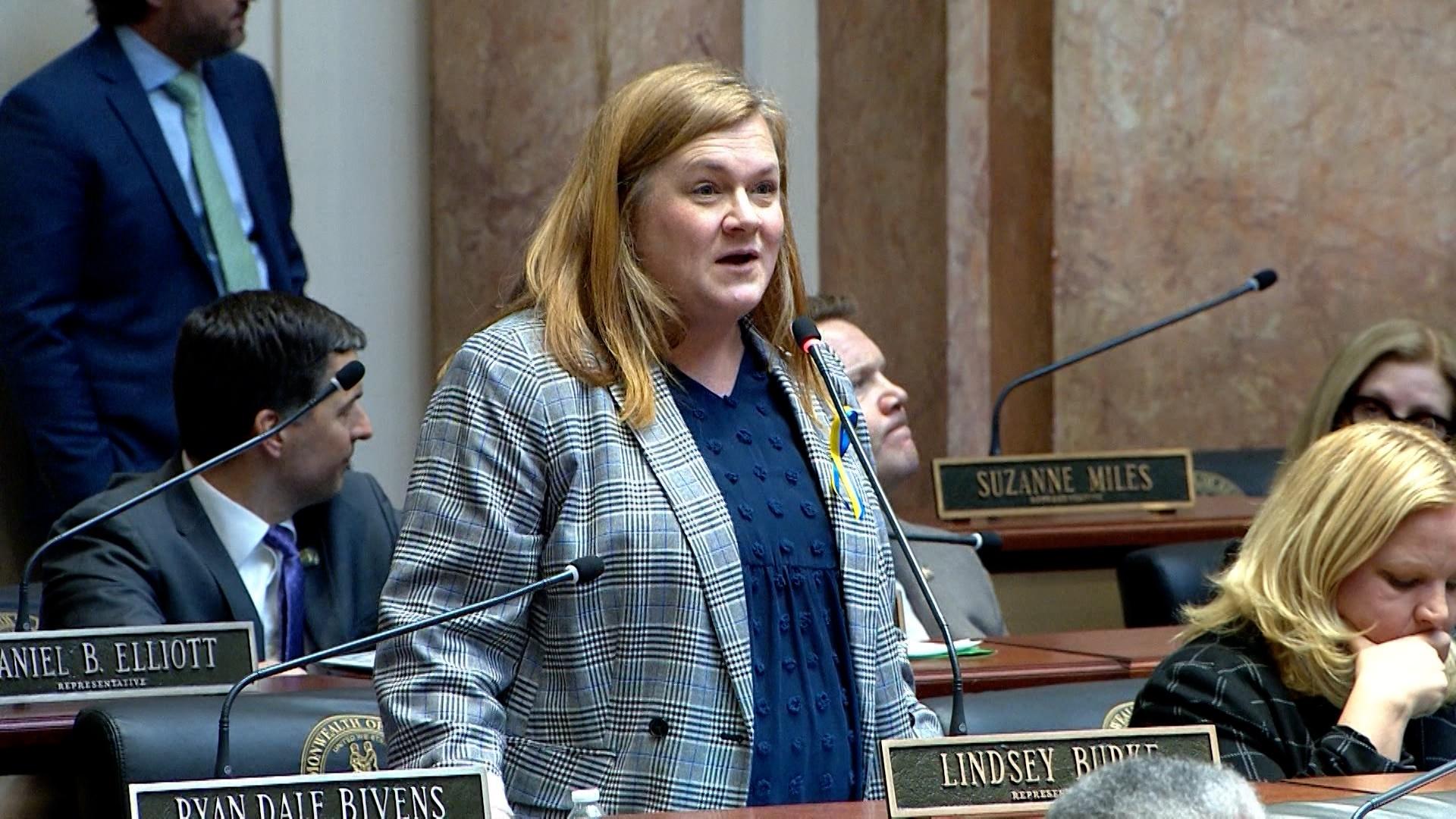 Squatters bill moves forward