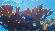How To Stop Your Poop From Killing Corals