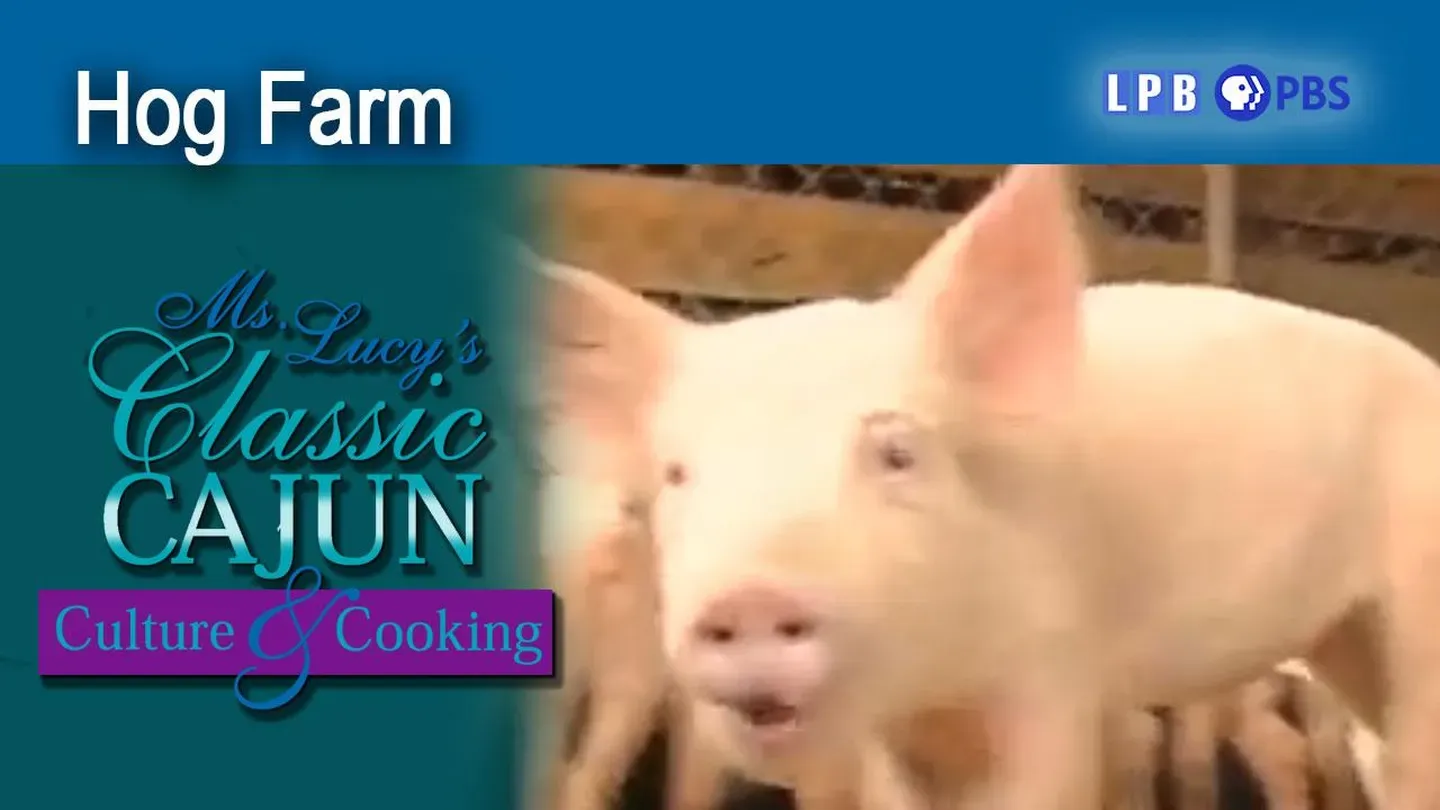 Hog Farm