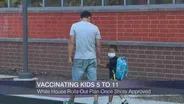 White House Rolls Out Vaccine Plan Once Shots Approved