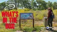 Upper Lake Trail at Pahranagat National Wildlife Refuge