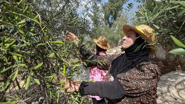 Lebanese farmers say ceasefire fails to ensure safety