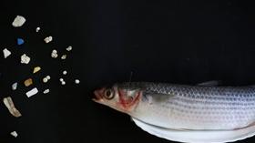 Video thumbnail: PBS NewsHour Scientists study the impact of hidden plastic