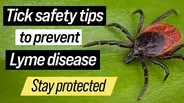 Tick Protection & Lyme Disease Prevention