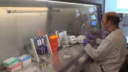The risks and rewards of expedited vaccine development