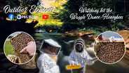 Watching for the Waggle Dance: Honeybees