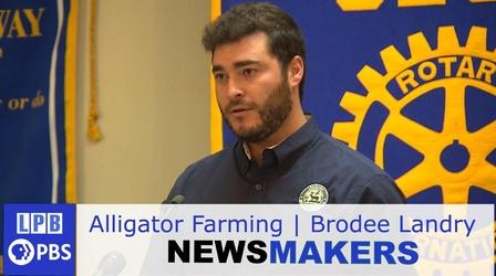 Video thumbnail: Newsmakers Alligator Farming | Brodee Landry | 08/04/2021