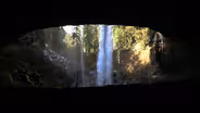 Ginkgo Flow, Columbia Slough, Umpqua Rain Photo Essay