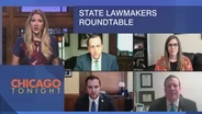 State Lawmakers Part 1: Lights Out for Energy Bill