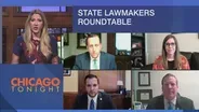 State Lawmakers Part 1: Lights Out for Energy Bill