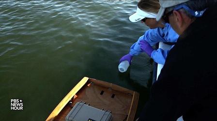 Video thumbnail: PBS NewsHour These drones help find floodwater toxins we typically miss