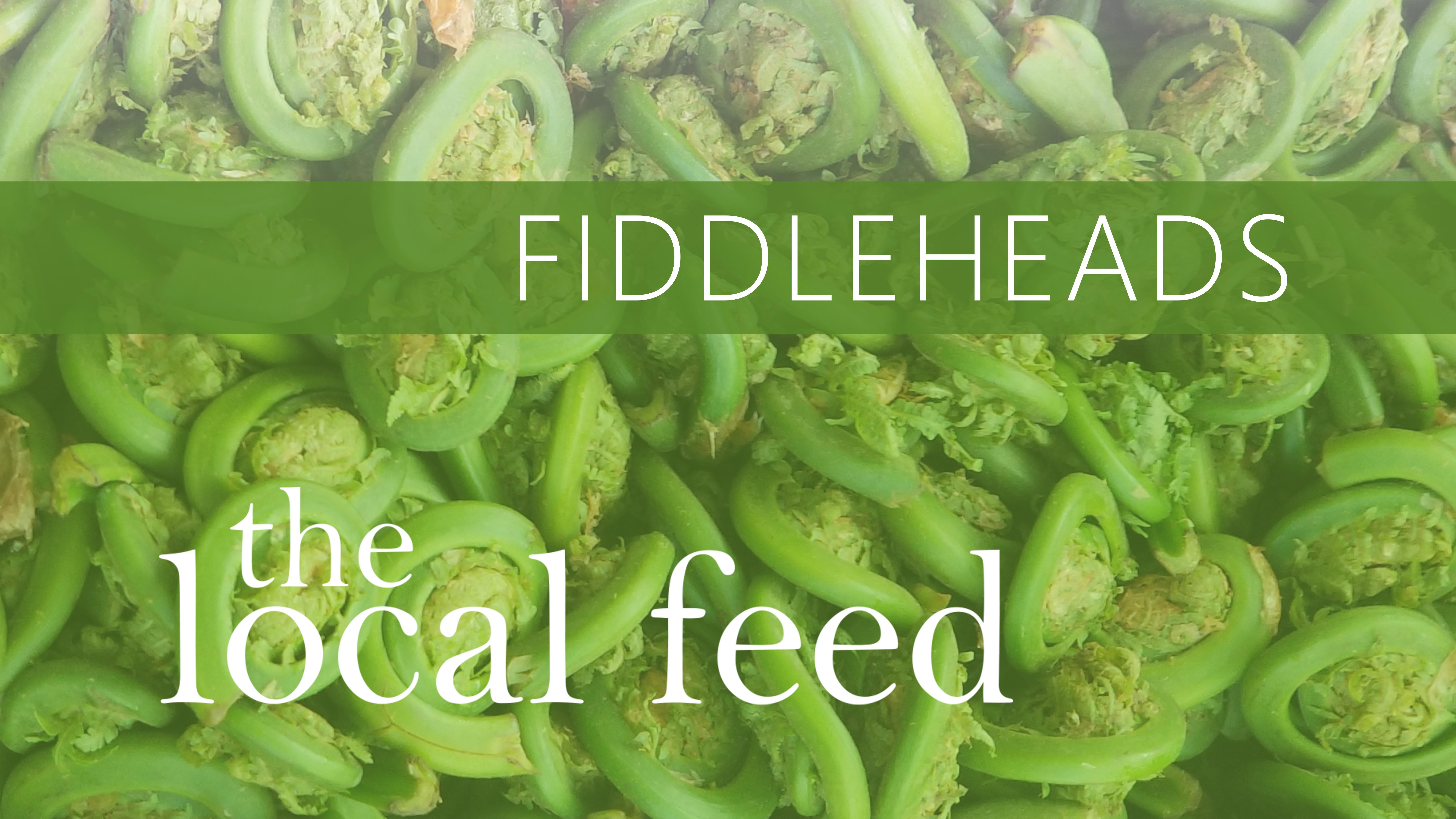 Fiddleheads Schoharie Valley Farms Season 1 Episode 05 10 2018