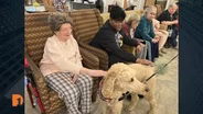 How conversations impact the lives of senior citizens and their caregivers